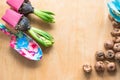 Gardening concept. Seedling hyacinth, garden tools, scissors, twine, shopping paper bag, tubers-bulbs gladiolus. Copy space. Seaso