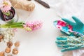 Gardening concept. Still life of seedling hyacinth, garden tools, scissors, twine, tubers-bulbs gladiolus with copy space. Spring