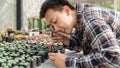 Gardening concept te male gardener taking care of the pricy cactus with tweezers on the desk with other cactuses in the pots Royalty Free Stock Photo