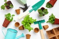 Gardening concept. Working tools and plants flowers in pots on the table Royalty Free Stock Photo