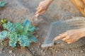 Gardening concept a young farmer shoveling the dirt around the plants to let oxygen get through the roots easily