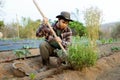 Gardening concept a young farmer shoveling the dirt around the plants to let oxygen get through the roots easily