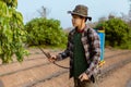 Gardening concept a young male farmer spraying a chemical pesticide for preventing the crops from the pests