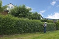 Gardening, cutting hedge