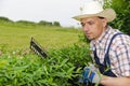 Gardening, cutting hedge