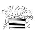 Gardening, decoration plant leaves in pot isolated line icon style