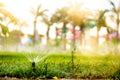 Gardening details - automatic lawn watering system with pop-up sprinklers. Close up details of lawn maintainance