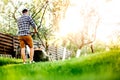 Gardening, industrial gardener working with lawnmower and cutting grass in garden