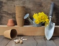 Gardening equipment arranged with bouquet of daffodils on a watering can Royalty Free Stock Photo