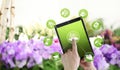 Gardening equipment e-commerce concept, online shopping on digital tablet, hand pointing and touch screen with green tools icons, Royalty Free Stock Photo