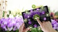 Gardening equipment e-commerce concept, online shopping on digital tablet, hand pointing and touch screen with tools icons, on Royalty Free Stock Photo