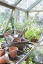 Gardening Equipment In Greenhouse