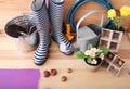 Gardening equipment with gumboots and plants on wooden background