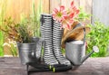 Gardening equipment with gumboots on wooden table