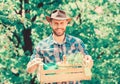 Gardening expert tips. Garden care. Mature farmer man planting plants. Planting season. Bearded gardener guy hold box Royalty Free Stock Photo