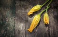 Gardening farming. Flower zucchini squash of kitchen