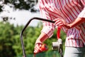 Woman being mowing lawn with lawnmower Royalty Free Stock Photo