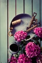 Set of rustic, old, vintage gardening tools, metal tray, watering can and pink hydrangea