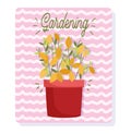 Gardening, flower leaves plant in pot, stripes background card