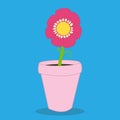 gardening flower pot 10