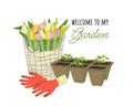 Gardening flower pots concept Royalty Free Stock Photo