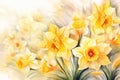 Gardening flowers nature floral background spring yellow daffodil narcissus blossom green beauty Royalty Free Stock Photo