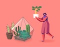 Gardening, Flowers Planting Hobby. Woman Growing Plants in Terrarium Concept. Female Character Grow Cacti and Succulents