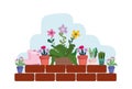 Gardening flowers plants and rubber boots on wall brick