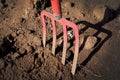 Gardening fork in the ground - pitchfork in sand Royalty Free Stock Photo