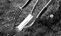 A gardening fork and two gardening spades in grass Royalty Free Stock Photo