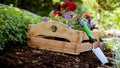 Gardening. Garden Tools and Crate Full of Gorgeous Plants Ready for Planting In Sunny Garden. Spring Garden Works Concept. Royalty Free Stock Photo