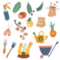 Gardening. Garden work elements tools, packs of seeds, vegetables. Concept of healthy eating, springtime gardening, farming.