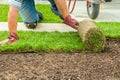 Gardening - Gardener laying sod for the new lawn Royalty Free Stock Photo