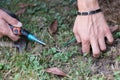 Gardening with a gardener`s hip Royalty Free Stock Photo