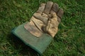 Gardening Glove