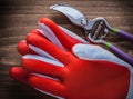 Gardening glove and sharp secateurs agriculture concept Royalty Free Stock Photo