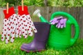 Gardening gloves and accessories