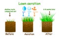 Lawn aeration stage illustration. Before and after aeration.