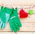 Gardening Hand Gloves Royalty Free Stock Photo