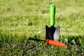 Gardening hand tools in the garden on the grass