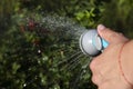 Gardening. hand watering plants. eggplant in vegetable garden. close up