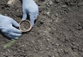 Gardening. Hands with Gloves Plant Seedings.