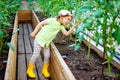 Gardening - happy little girl gardener in a greenhouse holding t