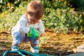 Gardening and harvesting. A cute baby girl is playing with a plastic toy bucket in the backyard Royalty Free Stock Photo