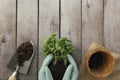 Gardening hobby concept. Hands holding eco pot, plant, shovel, wooden background Royalty Free Stock Photo