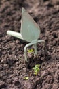 Gardening. Hoe and sprout Royalty Free Stock Photo