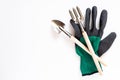 Gardening at home. Growing food on windowsill. Tools and farmer gloves. Copyspace for text, top view. Flatlay on white