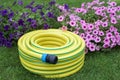 Gardening- hose pipe Royalty Free Stock Photo