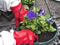 Gardening I Royalty Free Stock Photo