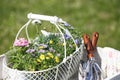 Geranium, seedling, gardening image, planting of flower seedling